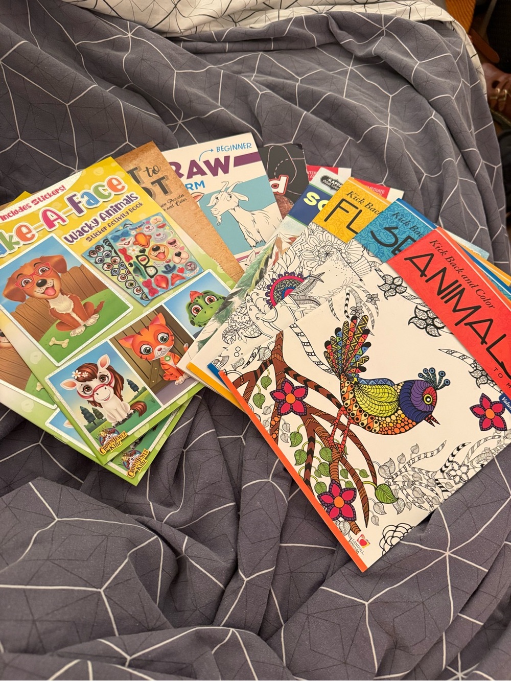 Set of Drawing, Coloring, and Sticker Books with Stencils